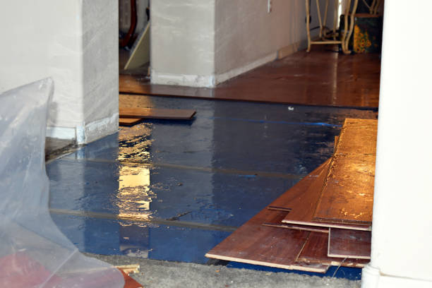 Professional Basement Flood Cleanup technician working in Whiting, IN